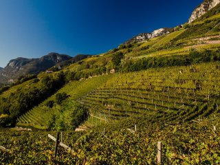 Lage Brenntal ©Florian Andergassen lage_zona_cru_brenntal.jpg