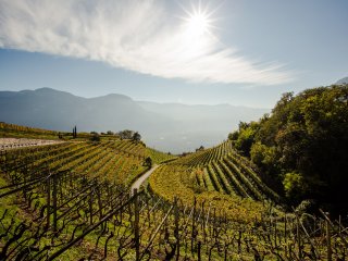 Lage Penon-Hofstatt ©Florian Andergassen lage_zona_cru_hofstatt.jpg