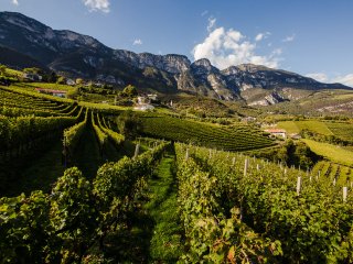 Lage Penon ©Florian Andergassen lage_zona_cru_penon.jpg